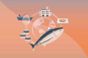 Process of fishing seafood sustainably